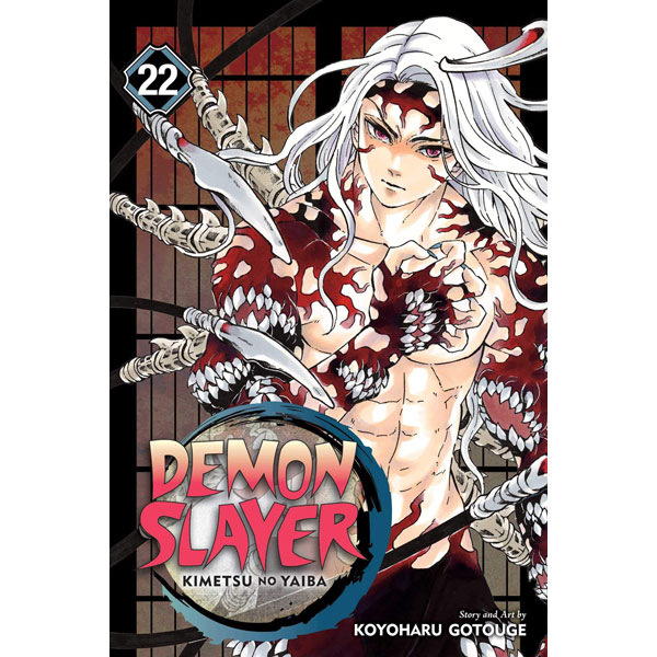 Viz Media Demon Slayer: Kimetsu no Yaiba 22