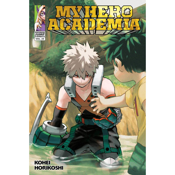 Viz Media My Hero Academia 29