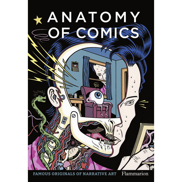 Flammarion Anatomy of Comics: Famous Originals of Narrative Art