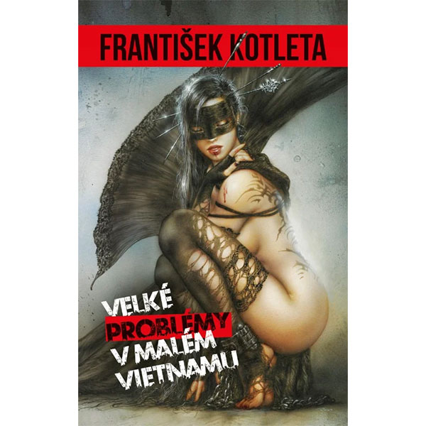 Epocha Velké problémy v Malém Vietnamu