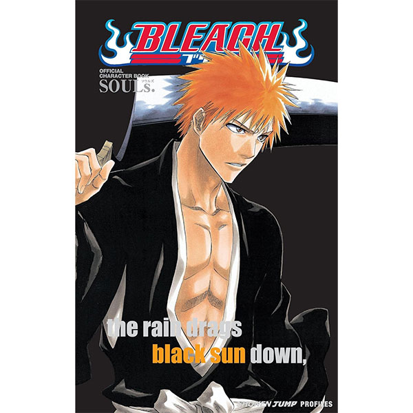 Viz Media Bleach MASKED: Official Character Book 1