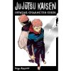 jujutsu kaisen the official character guide 9781974743810 1