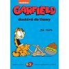 garfield 62 garfield dostava do tlamy 9788076795273