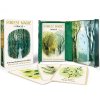 forest magic oracle a deck and guidebook for green witches karty 9780762485352 1