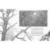 hobbit sketchbook kniha 9780008226749 5