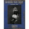 shadow and light volume one eroticky komiks 9781561637157