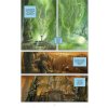 conan z cimmerie plizivy stin a dalsi pribehy komiks 9788025744000 3