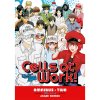 cells at work omnibus 2 vols 4 6 manga 9781646519224 1