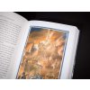 fall of gondolin tales of middle earth kniha 9780008302757 4