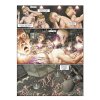 megalex brozovana vazba europsky komiks 9788076796706 4