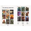 dungeons dragons museum celebrate 50 years of the epic fantasy role playing game kniha 9781800789623 3