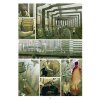 carbonea a silicius komiks 9788090910157 5