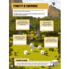 minecraft objavujeme biomy so samolepkami 8594050439382 4