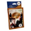 panini harry potter hogwarts castle sticker guide to the wizarding world eco blister 8051708005196