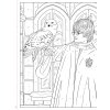 harry potter vybarvuj podle cisel omalovanka 8594050439856 2
