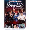 stray kids neautorizovany pruvodce kniha 9788026452805 1