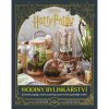 harry potter hodiny bylinkarstvi kniha 9788027610358