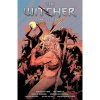 witcher omnibus 3 komiks 9781506728094 1