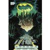 batman dark patterns komiks 9781799510512 5