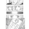 berserk 33 manga 9781595823724 7