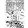 berserk 34 manga 9781595825322 2