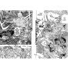 berserk 39 manga 9781506707082 2