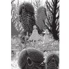 berserk 40 manga 9781506714981 7