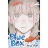 blue box 17 manga 9781974754908 1