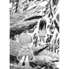 toxy noxy foresty forest 1 manga 9798855418538 5