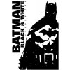 Batman: Black & White 2