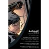 Batman 6: Graveyard Shift (The New 52) Pevná väzba