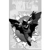 Batman 6: Graveyard Shift (The New 52) Pevná väzba