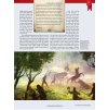 World of the Witcher