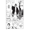 bleach 06 manga po cesky 9788074491368 4