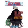 Bleach 06