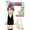 Bleach 12