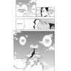 Bleach 13