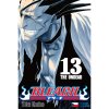 Bleach 13