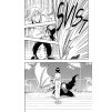 bleach 14 manga po cesky 9788074492488 2