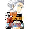 Bleach 16