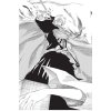 Bleach 18