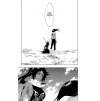 Bleach 19