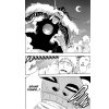 Bleach 21