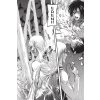 Attack on Titan 17