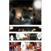 Attack on Titan: Before the Fall 04