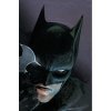 Batman 1 and 2 Deluxe Edition (Rebirth)