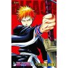 Bleach 3in1 Edition 01 (Includes 1, 2, 3)