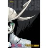 Bleach 3in1 Edition 14 (Includes 40, 41, 42)