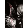 Batman/Two-Face: Face the Face Deluxe Edition