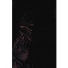 Batman/Two-Face: Face the Face Deluxe Edition